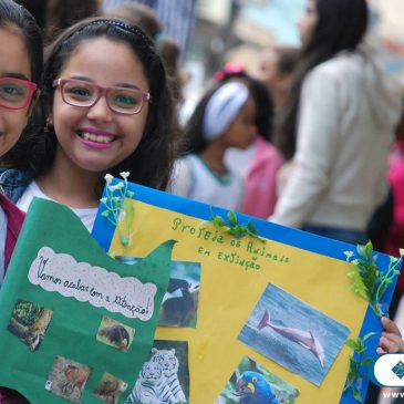 As Ações do Instituto no Meio Ambiente